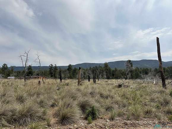 0.5 Acres of Residential Land for Sale in Timberon, New Mexico