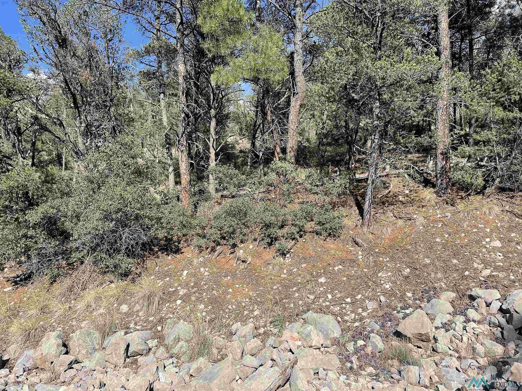0.54 Acres of Land for Sale in Timberon, New Mexico