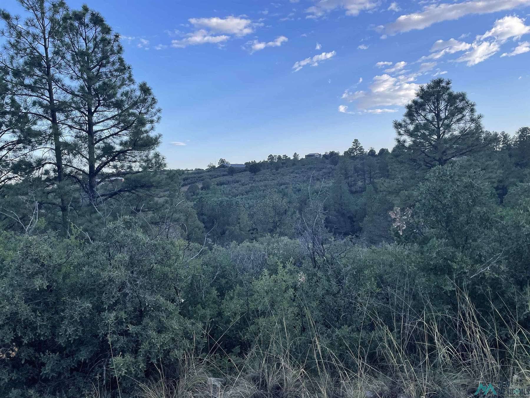 Residential Land for Sale in Timberon, New Mexico