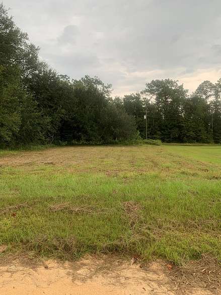 0.32 Acres of Residential Land for Sale in Donalsonville, Georgia