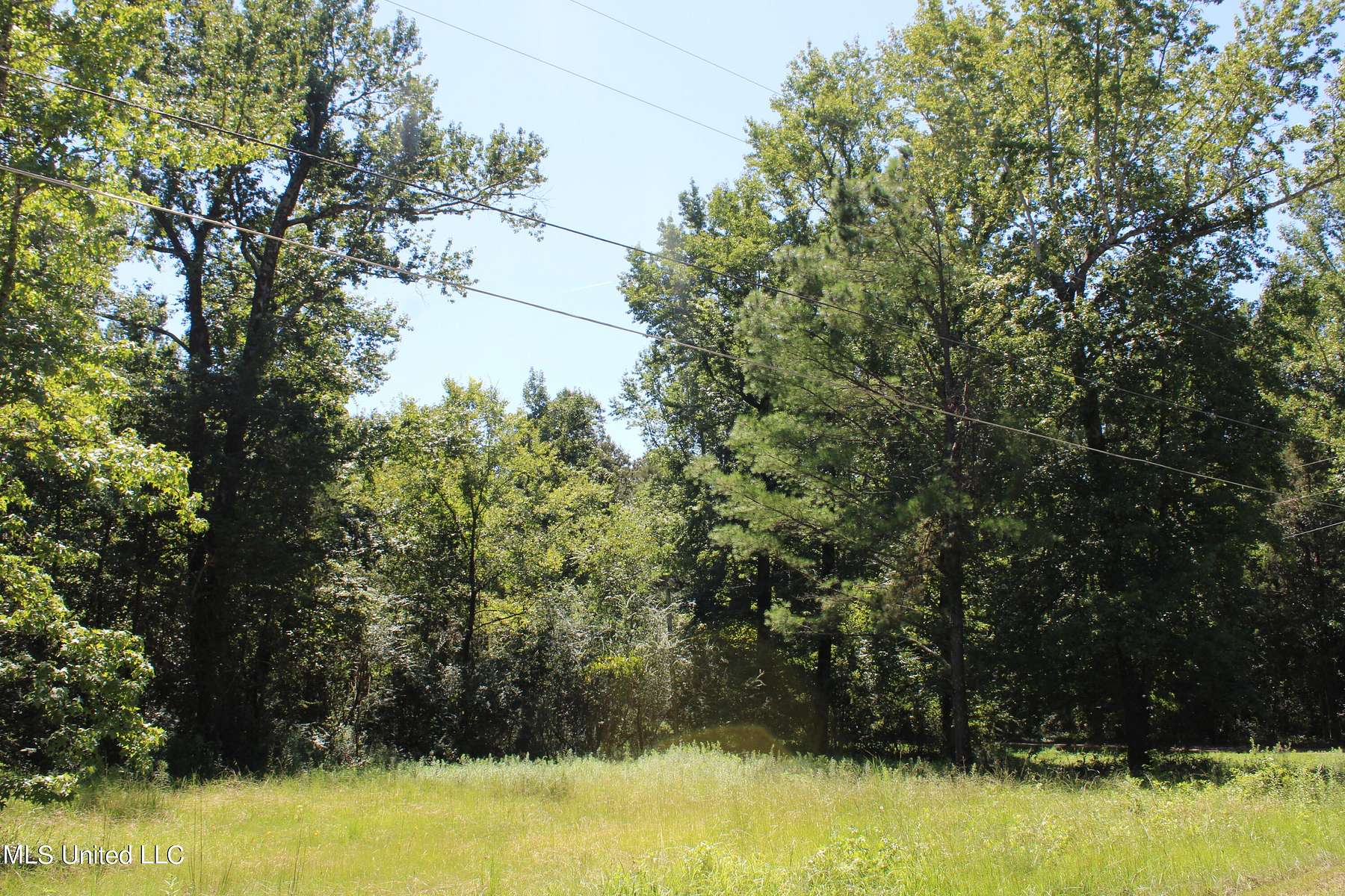 3.2 Acres of Land for Sale in Byhalia, Mississippi