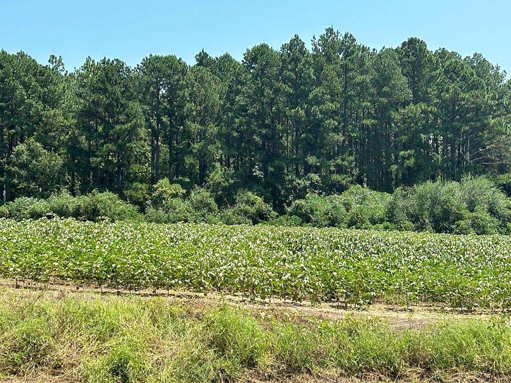 2.3 Acres of Residential Land for Sale in Dothan, Alabama