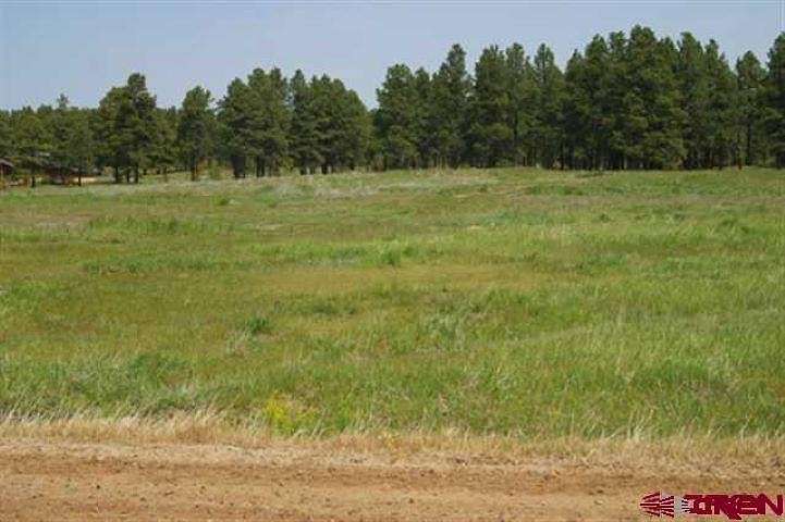 2.1 Acres of Residential Land for Sale in Pagosa Springs, Colorado