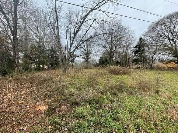 1 Acre of Residential Land for Sale in Ellenwood, Georgia