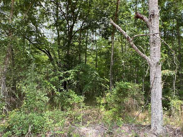 6 Acres of Residential Land for Sale in Cottonwood, Alabama