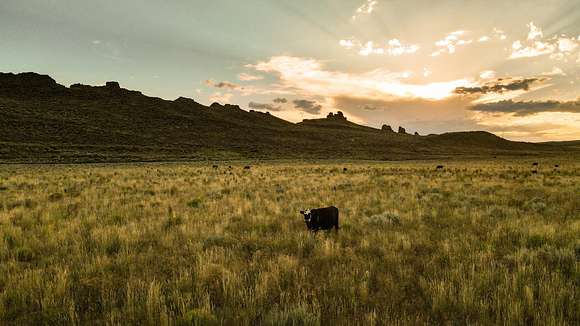 860 Acres of Recreational Land & Farm for Sale in Craig, Colorado