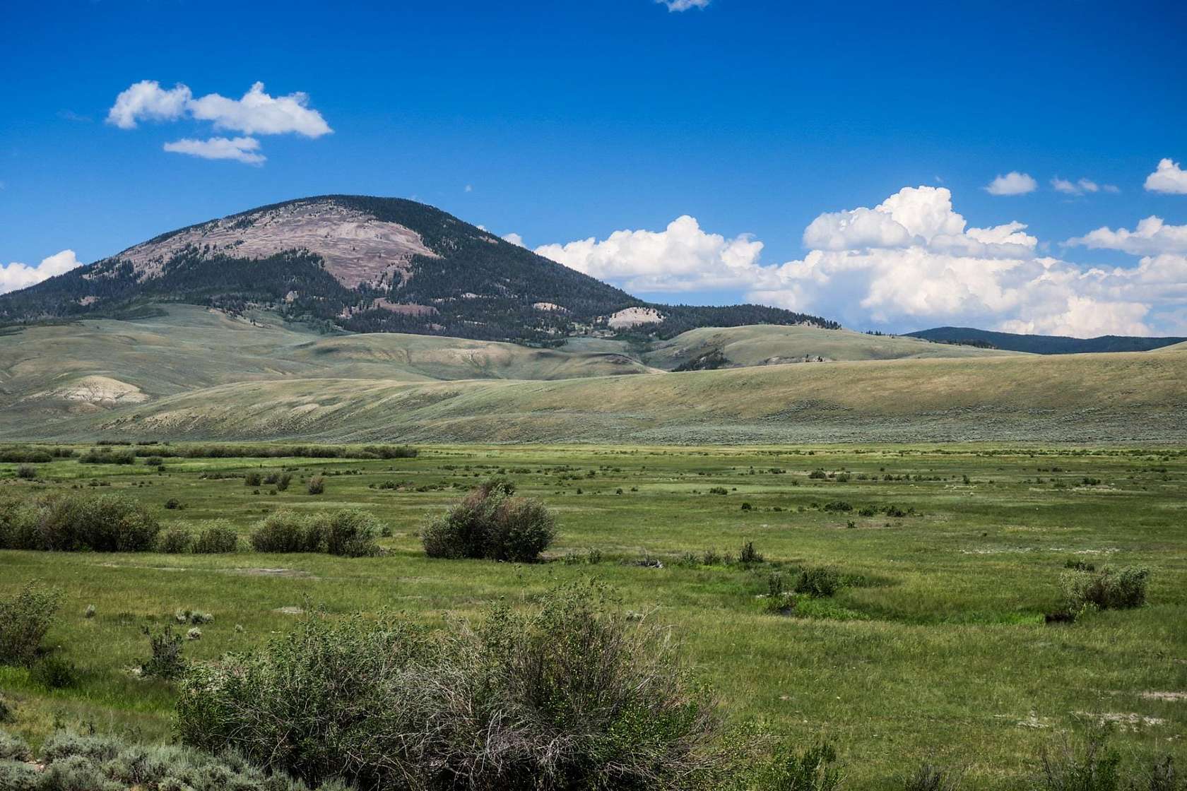 875 Acres of Recreational Land & Farm for Sale in Gunnison, Colorado