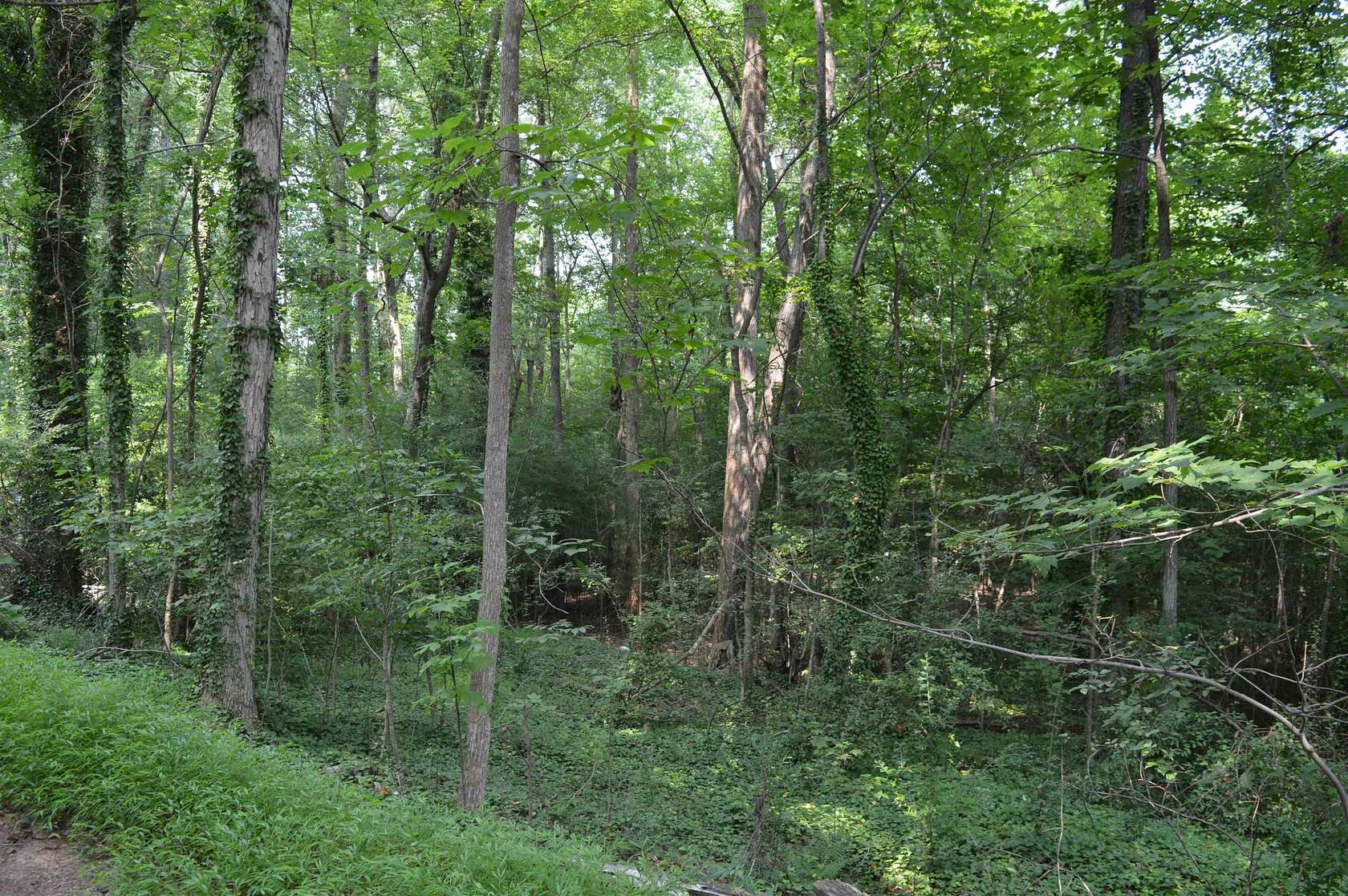 0.72 Acres of Residential Land for Sale in Cary, North Carolina