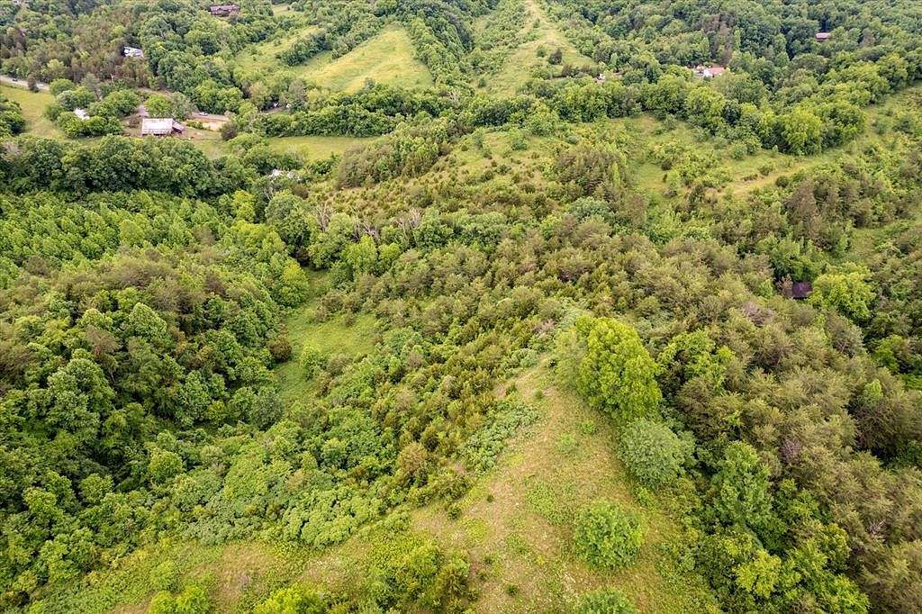 20.5 Acres of Land for Sale in Seymour, Tennessee