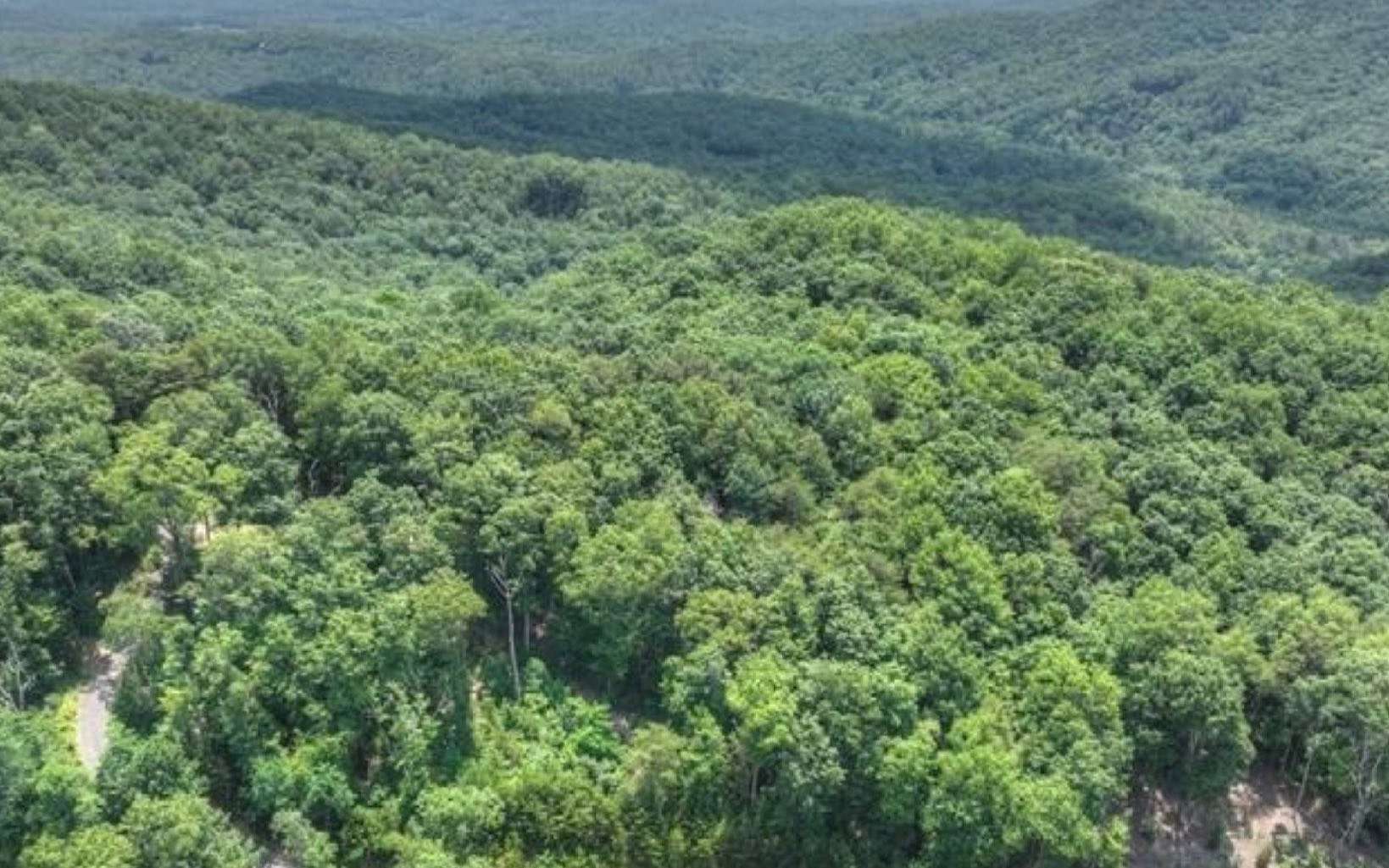 1.3 Acres of Land for Sale in Cherry Log, Georgia