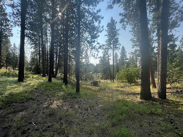 Residential Land for Sale in Sumpter, Oregon