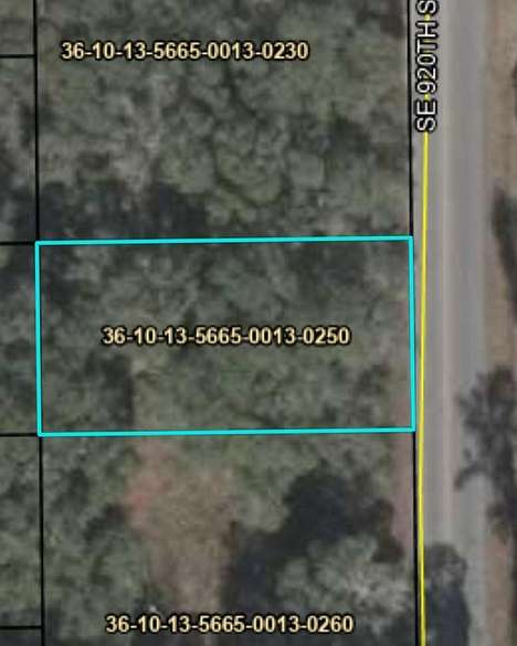 0.011 Acres of Land for Sale in Old Town, Florida