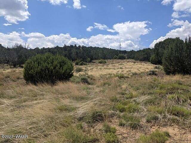 1.8 Acres of Residential Land for Sale in Concho, Arizona