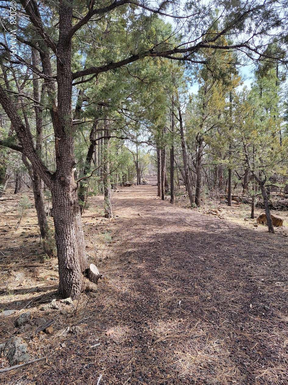 5 Acres of Residential Land for Sale in Lakeside, Arizona