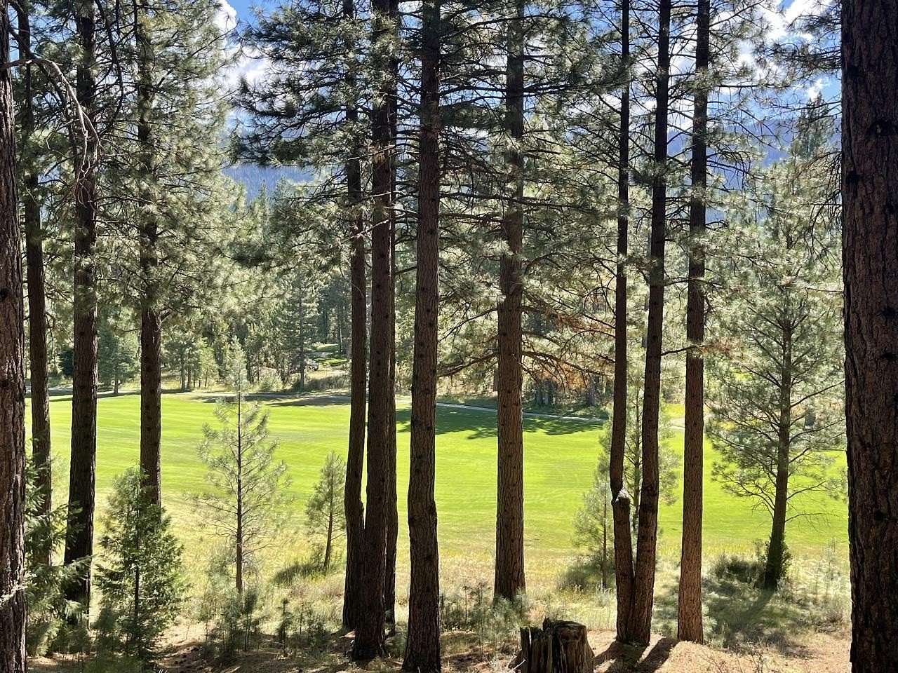 0.76 Acres of Residential Land for Sale in Clio, California