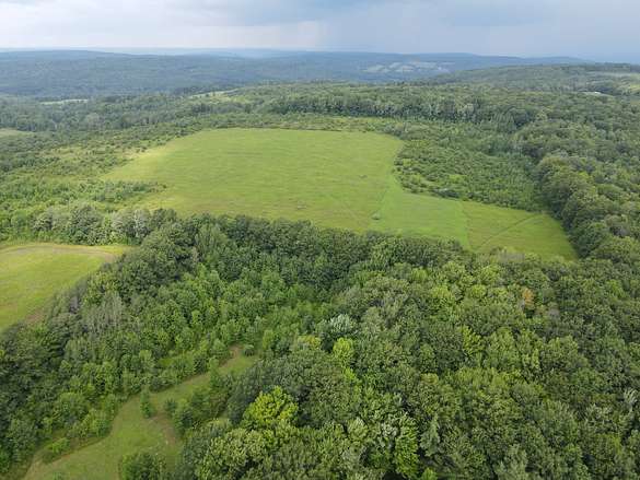 96.4 Acres of Land for Sale in Friendship, New York