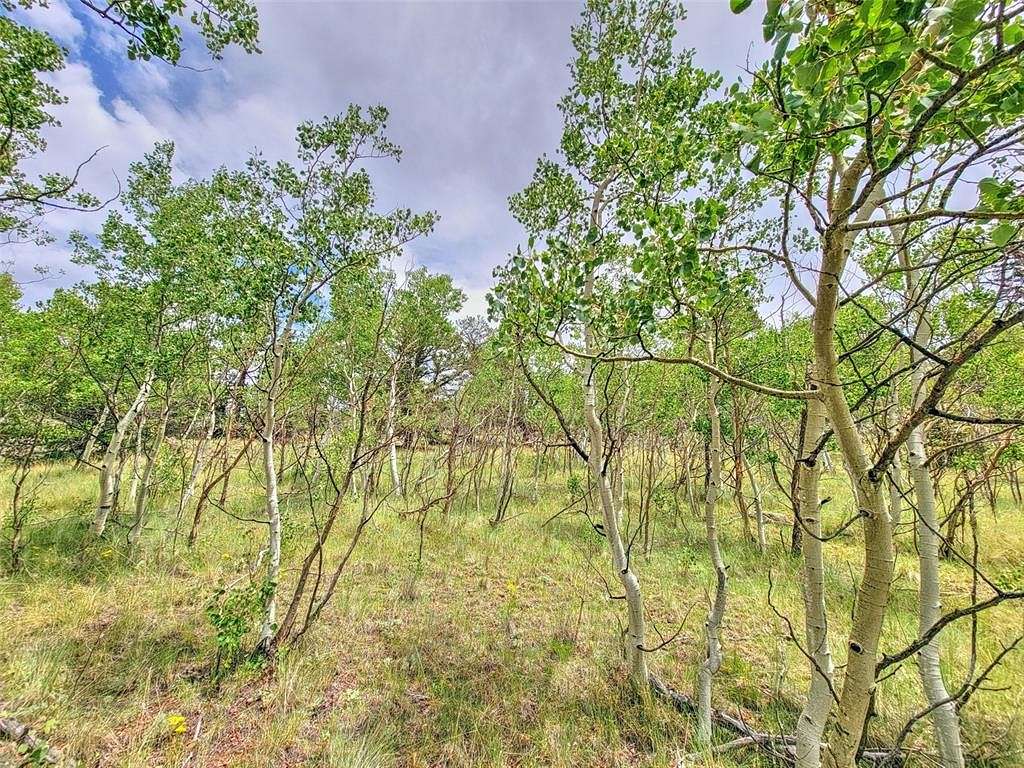 5 Acres of Residential Land for Sale in Jefferson, Colorado
