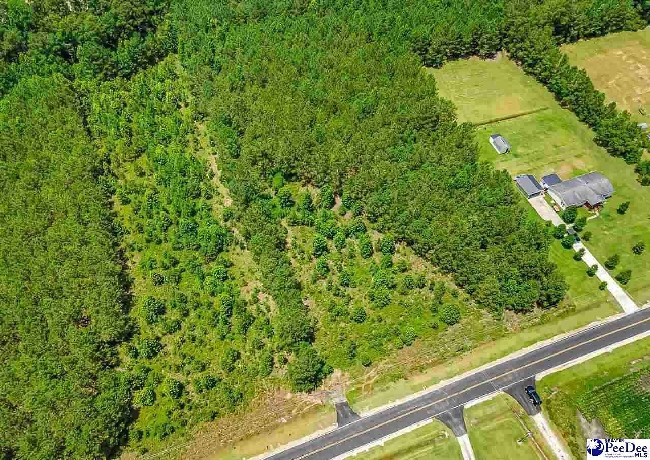 16.8 Acres of Land for Sale in Loris, South Carolina