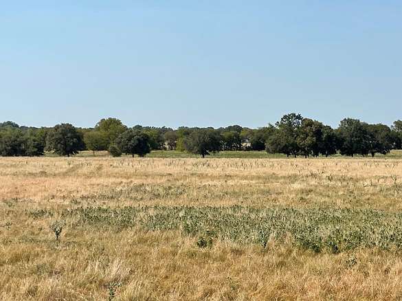 48.3 Acres of Recreational Land for Sale in Marlin, Texas