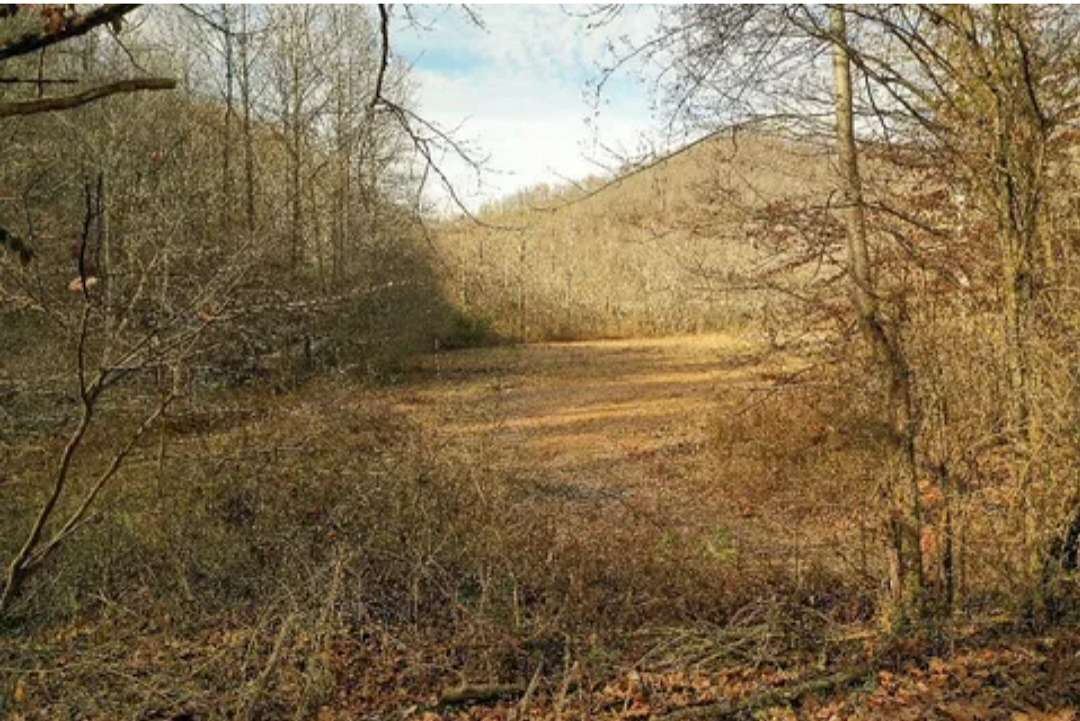 52 Acres of Recreational Land for Sale in Manchester, Kentucky