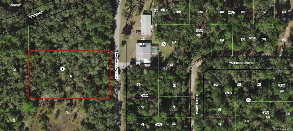1.3 Acres of Land for Sale in Crystal River, Florida