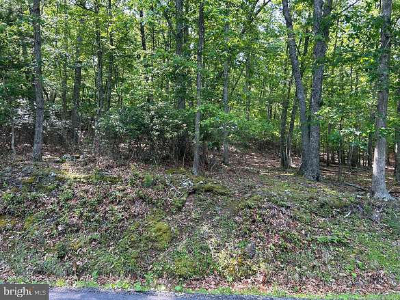 40.4 Acres of Recreational Land for Sale in Franklin, West Virginia