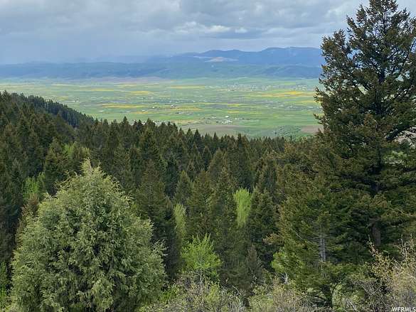 76.8 Acres of Land for Sale in Grover, Wyoming