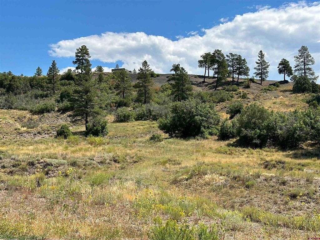 8.9 Acres of Residential Land for Sale in Pagosa Springs, Colorado