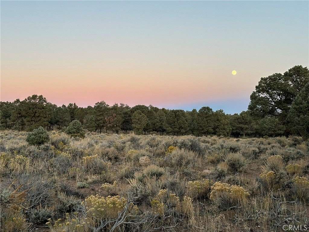 11.25 Acres of Recreational Land & Farm for Sale in Big Bear City, California