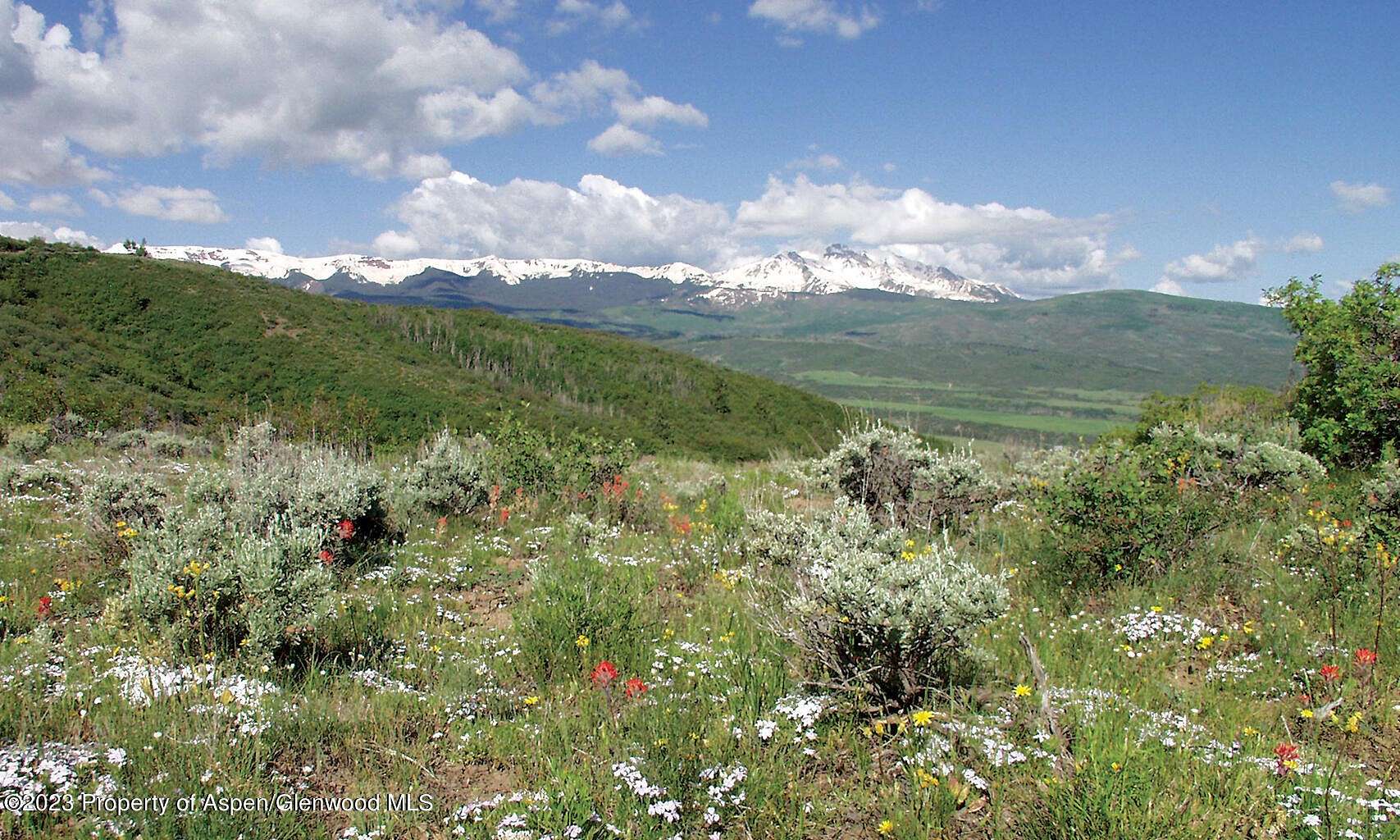 45.2 Acres of Land for Sale in Snowmass Village, Colorado