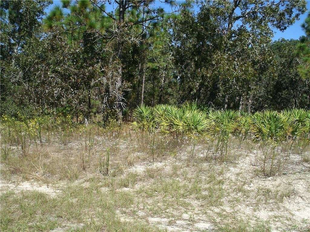 0.26 Acres of Residential Land for Sale in Homosassa, Florida