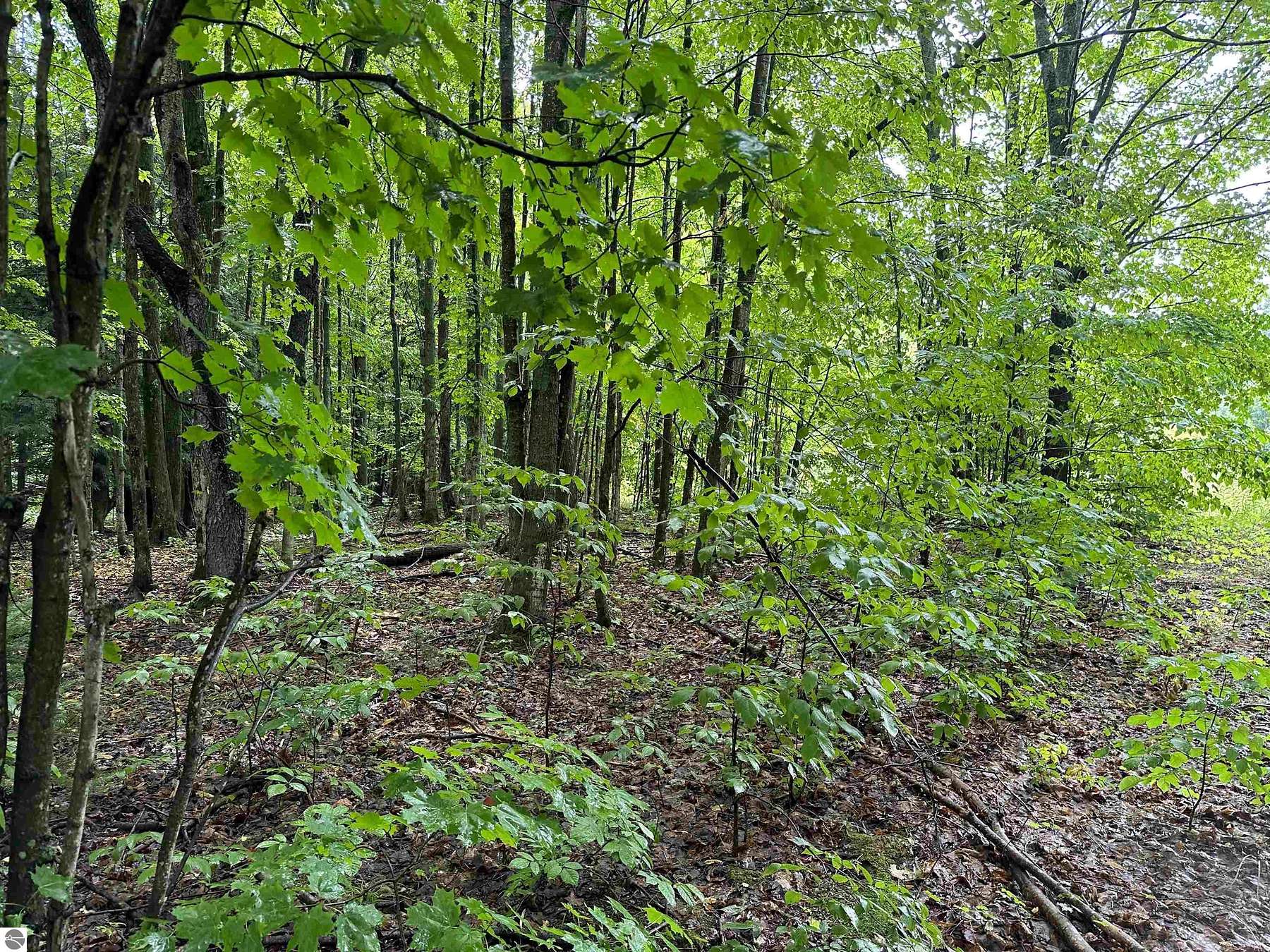 20 Acres of Recreational Land for Sale in Mancelona, Michigan