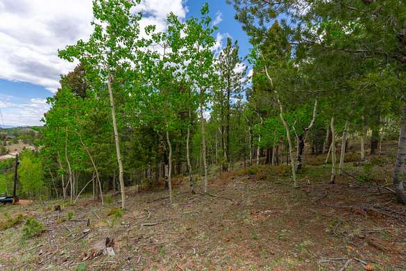 Land For Sale Near Cripple Creek Colorado