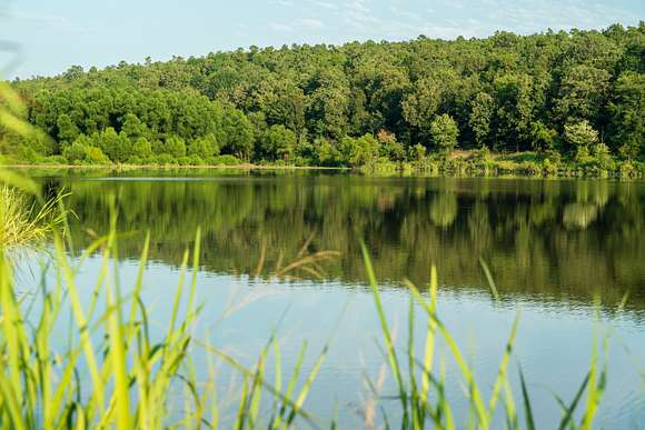 1,640 Acres of Recreational Land & Farm for Sale in Waldron, Arkansas