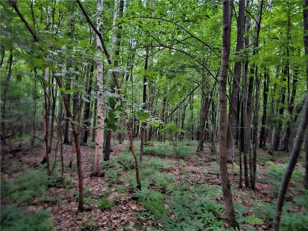 40 Acres of Recreational Land for Sale in Holcombe, Wisconsin