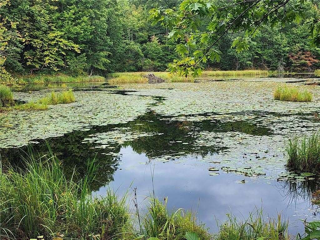 40 Acres of Recreational Land for Sale in Holcombe, Wisconsin