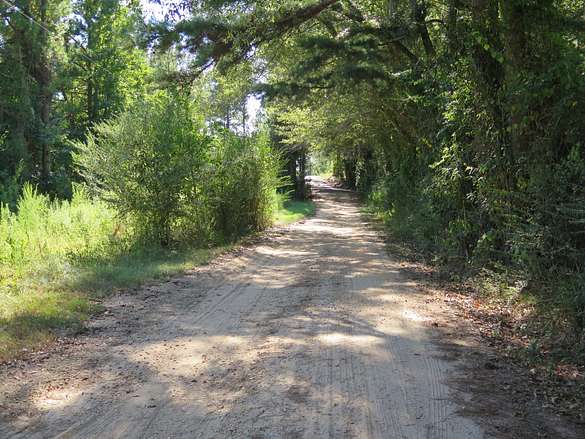 30 Acres of Recreational Land for Sale in Magee, Mississippi