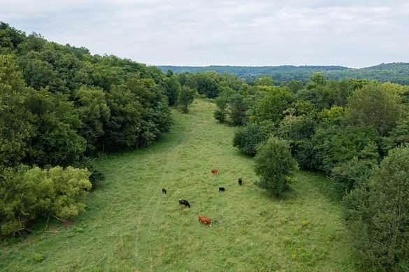 218 Acres of Land for Sale in Mount Pleasant, Tennessee