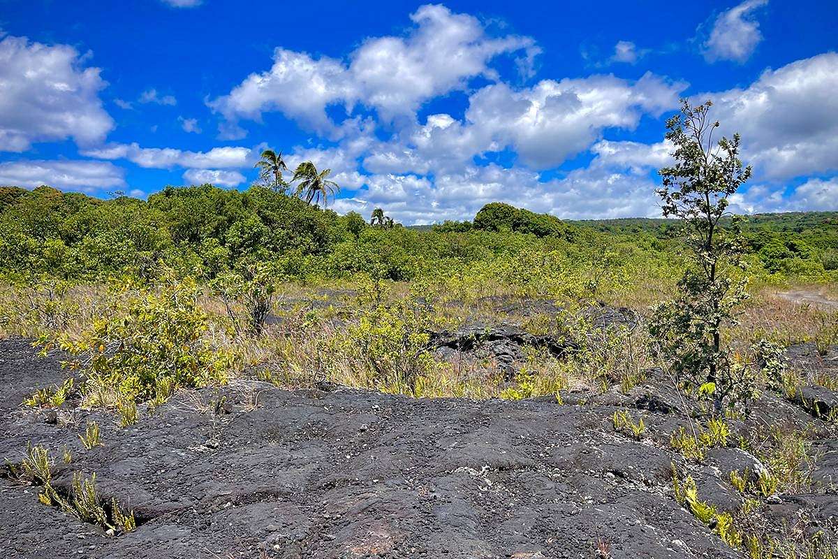 6.3 Acres of Land for Sale in Pahoa, Hawaii
