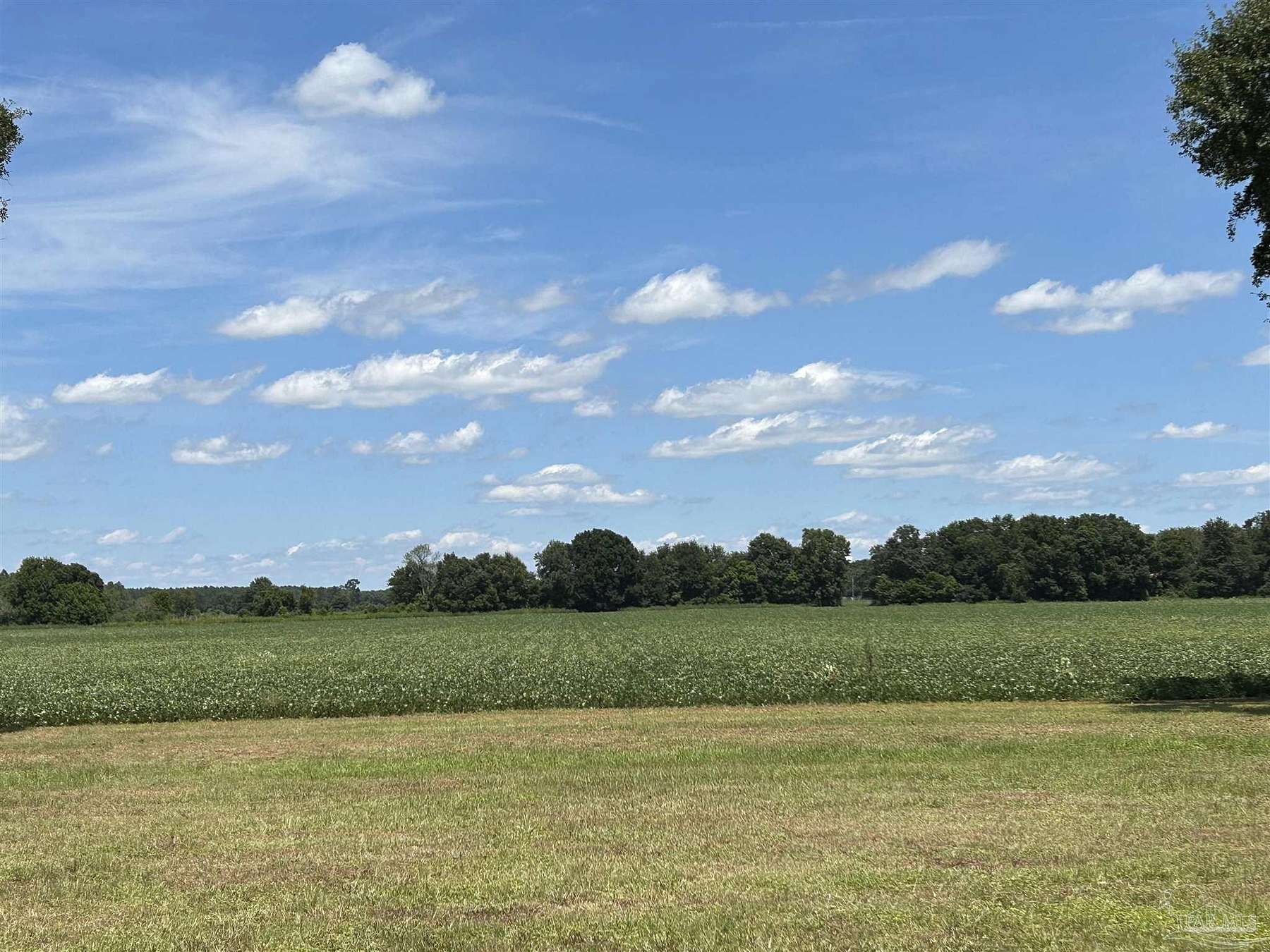 37 Acres of Land for Sale in Milton, Florida