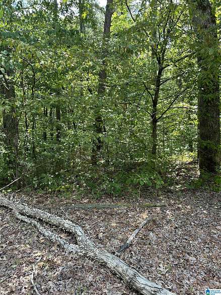 0.1 Acres of Land for Sale in Lakeview, Alabama