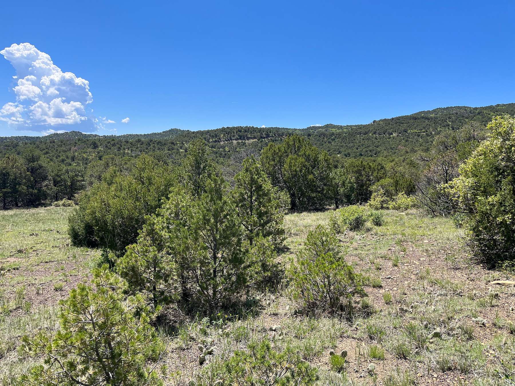 36.1 Acres of Recreational Land for Sale in Trinidad, Colorado