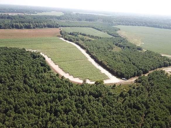 139 Acres of Recreational Land & Farm for Sale in Bailey, North Carolina