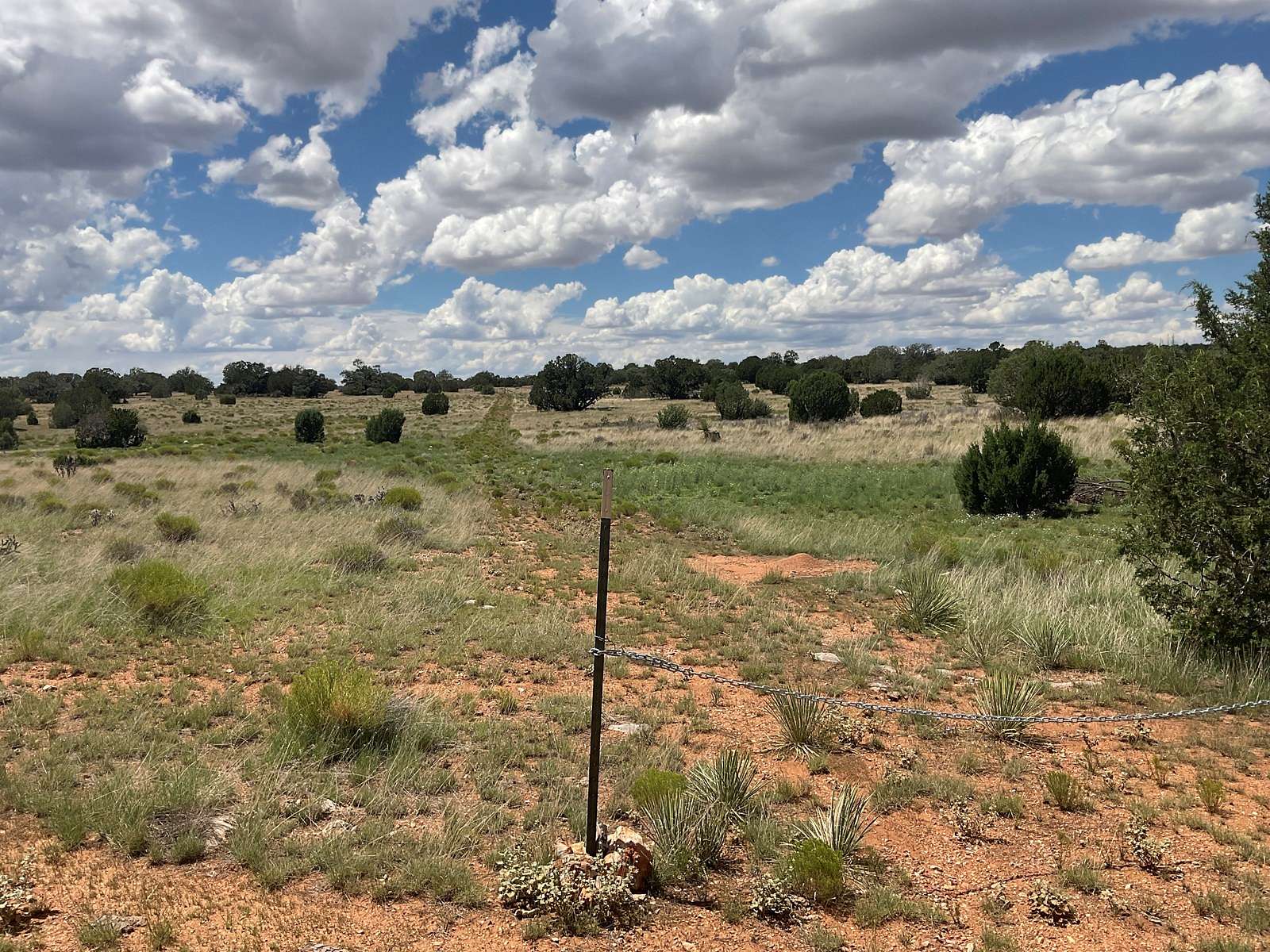 19.8 Acres of Recreational Land & Farm for Sale in Seligman, Arizona