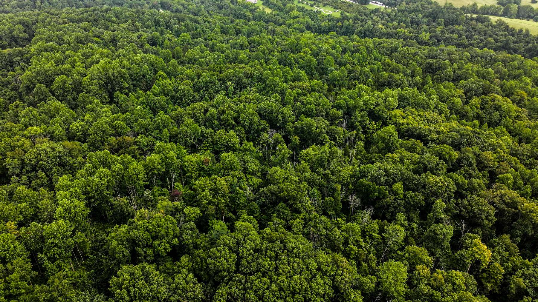 27.1 Acres of Land for Sale in Bloomington, Indiana