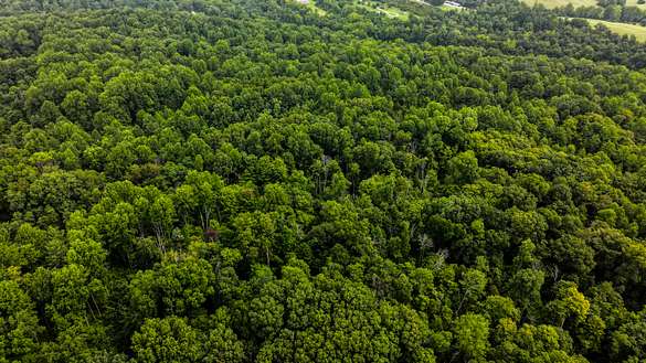 27.06 Acres of Land for Sale in Bloomington, Indiana