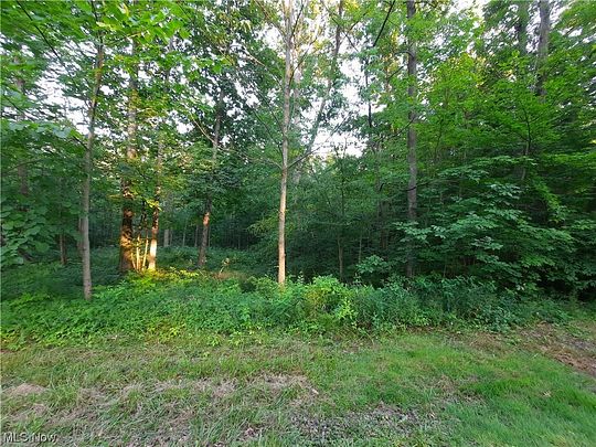 0.26 Acres of Residential Land for Sale in West Salem, Ohio