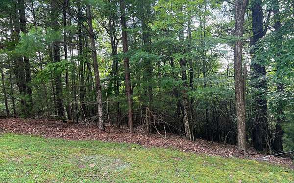 3 Acres of Land for Sale in Hayesville, North Carolina