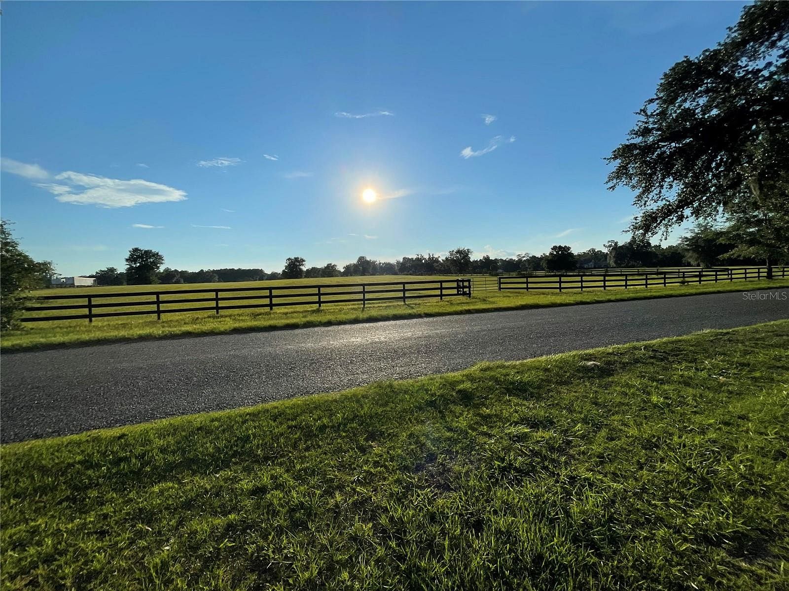21.8 Acres of Agricultural Land for Sale in Ocala, Florida