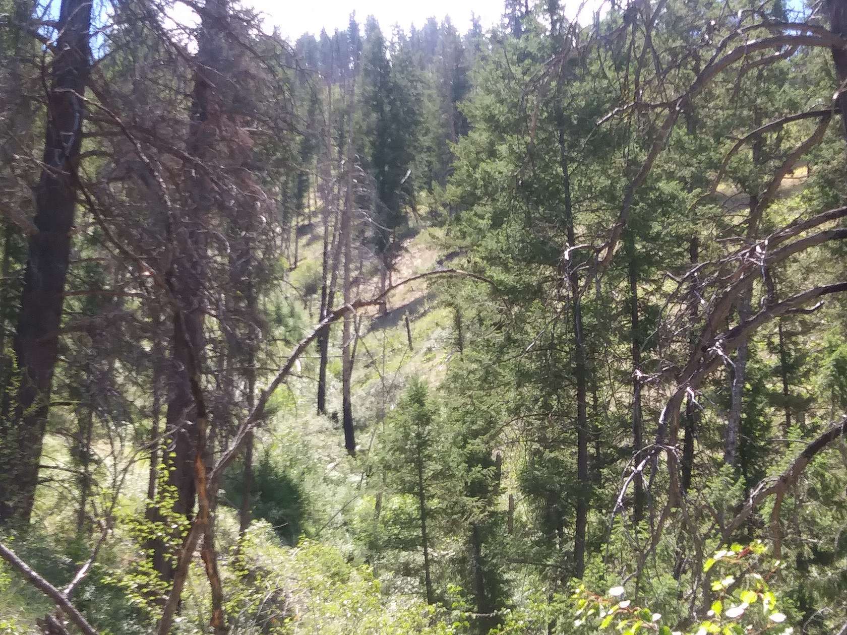 Idaho Cheap Land for Sale 18 Properties LandSearch